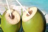प्रेगनेंसी में इन 5 समस्याओं से छुटकारा दिलाता है नारियल पानी