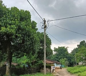 मुख्यमंत्री विष्णुदेव साय ने दी 58 लाख की स्वीकृति, जशपुर के 13 गांवों में बिखरेगी रौशनी