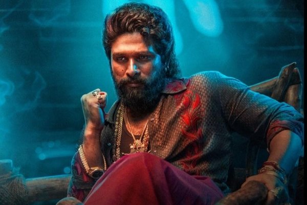 1740 करोड़ की कमाई और 1 साल की सफलता, Pushpa 2 की सालगिरह पर Allu Arjun का संदेश