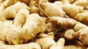 इम्यूनिटी बढ़ाने के लिए करते हैं अदरक का सेवन, ऐसे पहचानें अदरक असली है या नकली