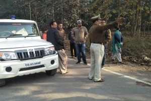 जंगल से भटक कर चार हाथियों का दल देर रात शहर के बीच कॉलोनी में घुसा