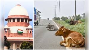 जनहित याचिका: एनएच से मवेशी हटाने को लेकर सुप्रीम कोर्ट ने केंद्र सरकार को नोटिस जारी किया