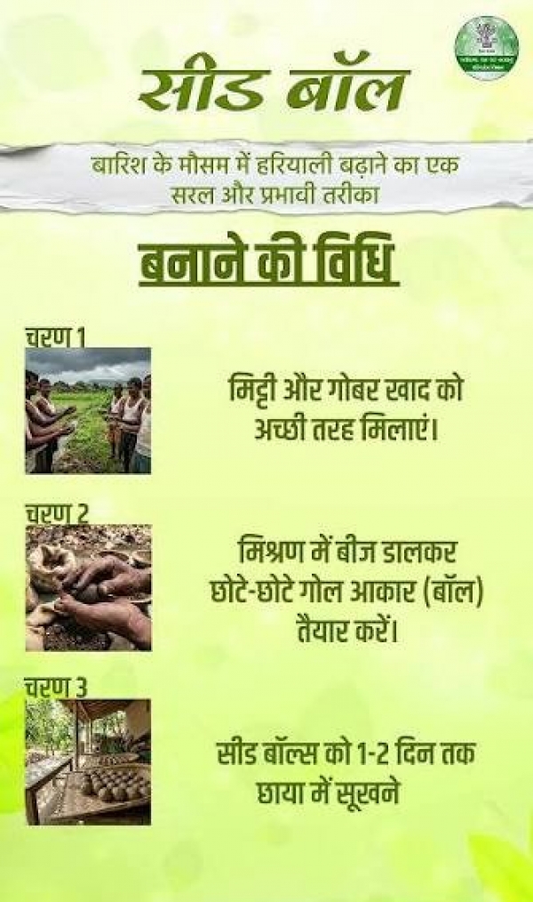 विशेष लेख: सीड बॉल अभियान- हरियाली बढ़ाने का सरल और प्रभावी माध्यम