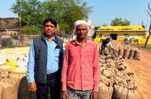 राज्य के सभी जिलों में समर्थन मूल्य पर धान खरीदी का सिलसिला जारी