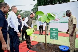 राज्यपाल ने पेंड्रा में कदम्ब के पौधे का रोपण किया