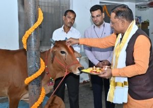 गोवर्धन पूजा के अवसर पर मुख्यमंत्री ने किया गौपूजन, प्रदेशवासियों की सुख-समृद्धि की कामना की मुख्यमंत्री विष्णु देव साय
