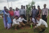 बड़ेसीपत के विद्यालय परिसर में हुआ पौधरोपण