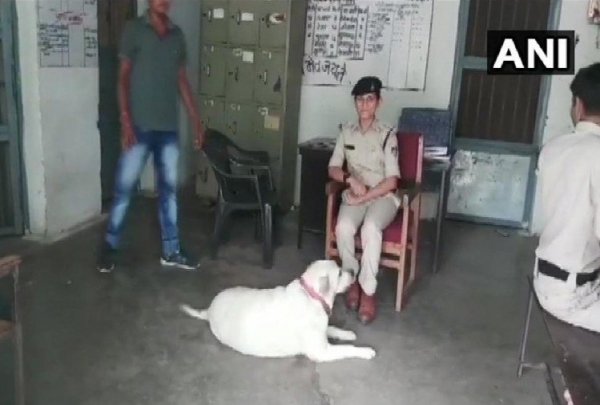 पांच लोगों की हत्या कर जेल में बंद है पूरा परिवार, पुलिस कर रही &#039;सुल्तान&#039; की देखभाल