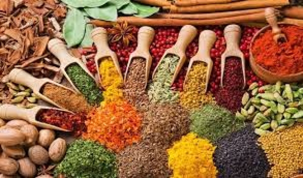 मिलावटखोरों के विरुद्ध सख्ती से करें कार्रवाई - स्वास्थ्य मंत्री डॉ. चौधरी